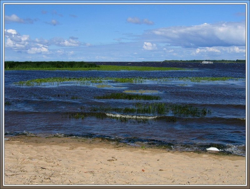 устье Волхова, южный берег Ладожского озера