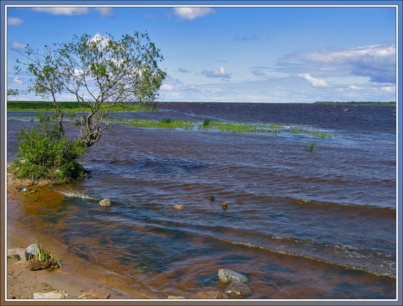 устье Волхова, южный берег Ладожского озера