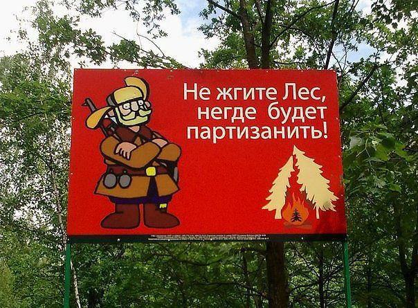 Плакат "Не жгите лес"