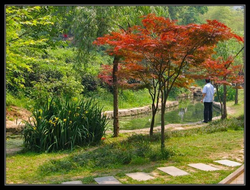 Парк в Ханчжоу
