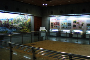 Палеолитический музей, достопримечательности Пекина