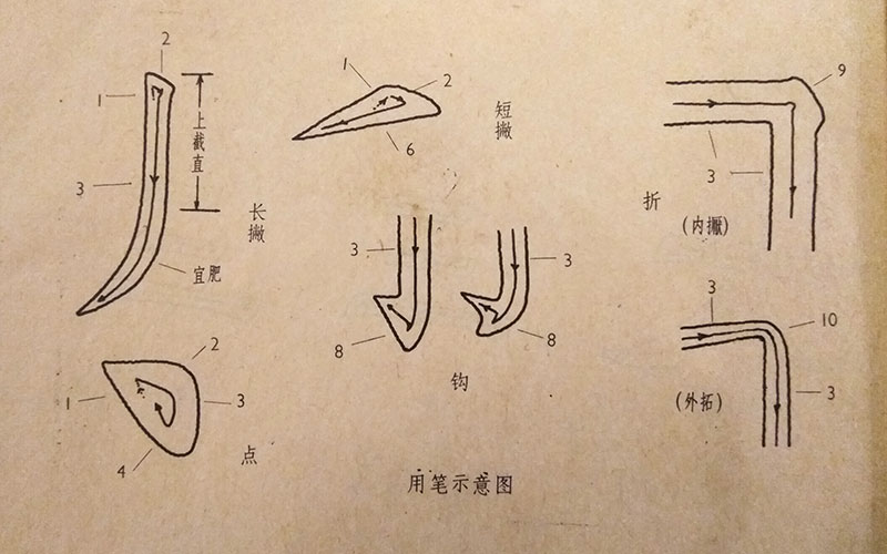 Движения кистью, китайская каллиграфия