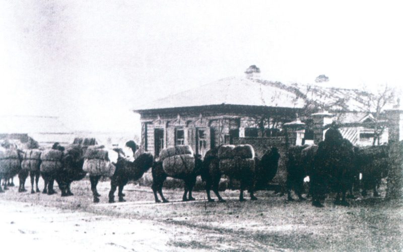Прибытие чайного каравана из Монголии в Кяхту