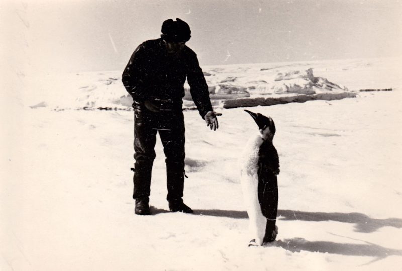 Антарктида, 1980